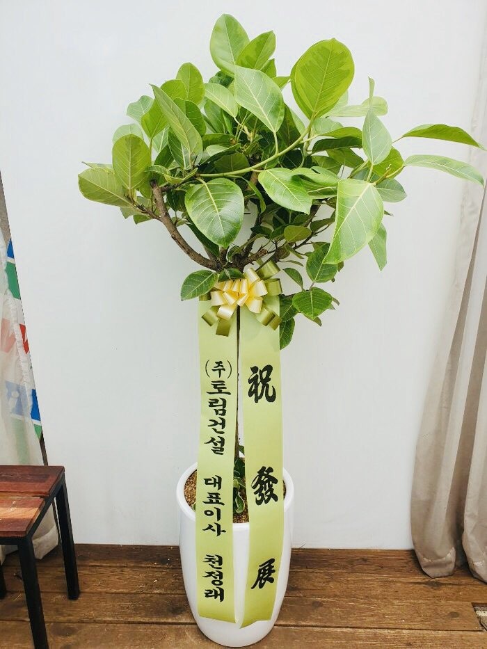 ()串Ǽ  ֹ,   Դϴ.